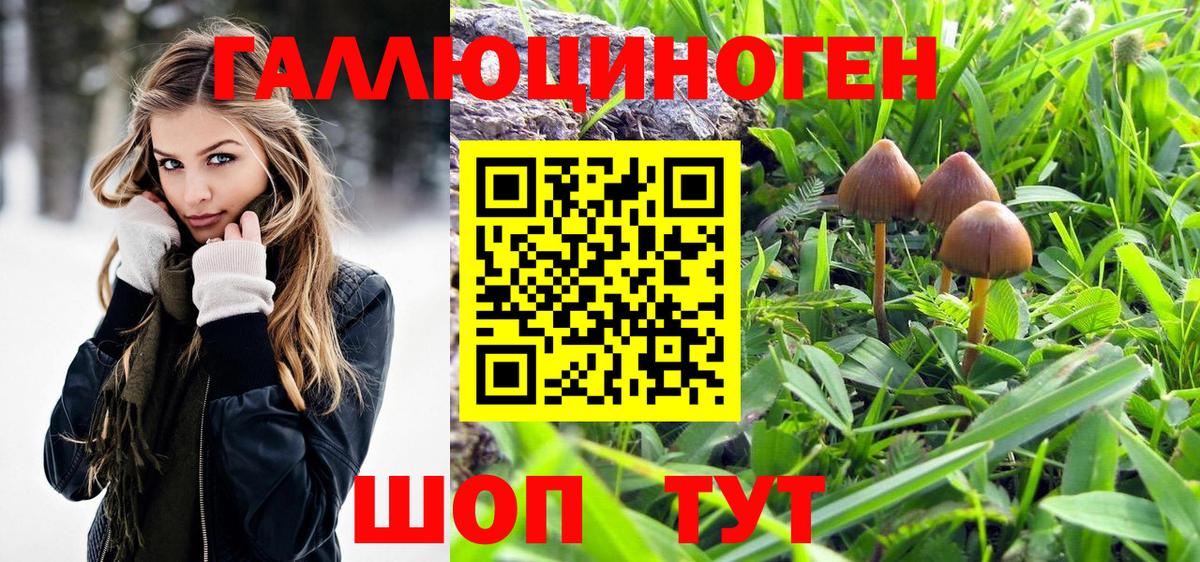 Армавир  Псилоцибиновые грибы Psilocybe  Вход с VPN 